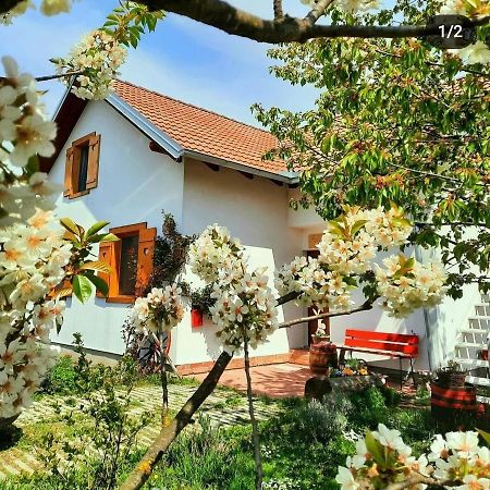 Kuca Za Odmor "Dva Srca" Ξενοδοχείο Ceminac Εξωτερικό φωτογραφία
