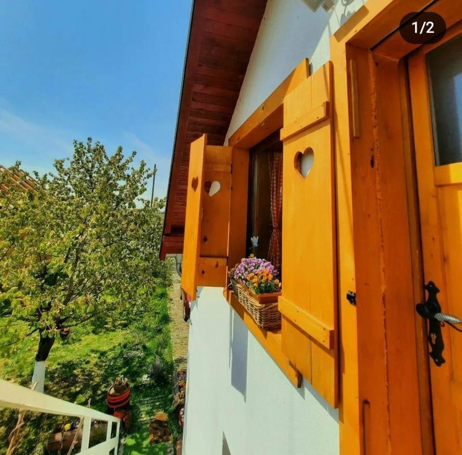 Kuca Za Odmor "Dva Srca" Ξενοδοχείο Ceminac Εξωτερικό φωτογραφία