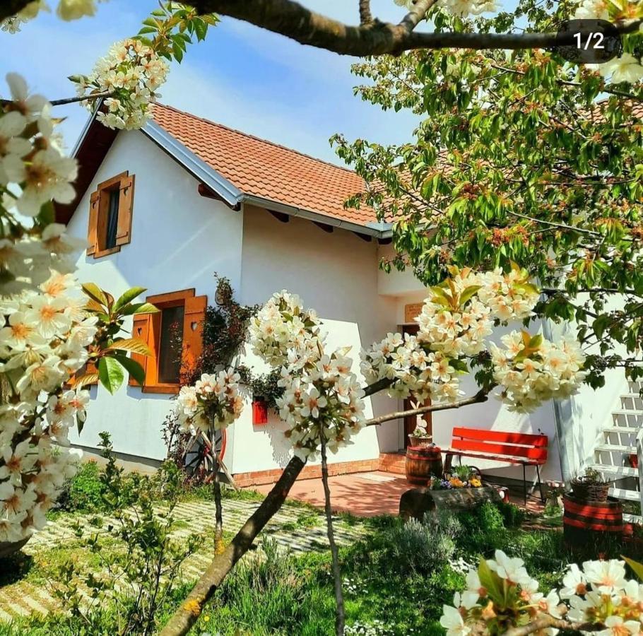 Kuca Za Odmor "Dva Srca" Ξενοδοχείο Ceminac Εξωτερικό φωτογραφία