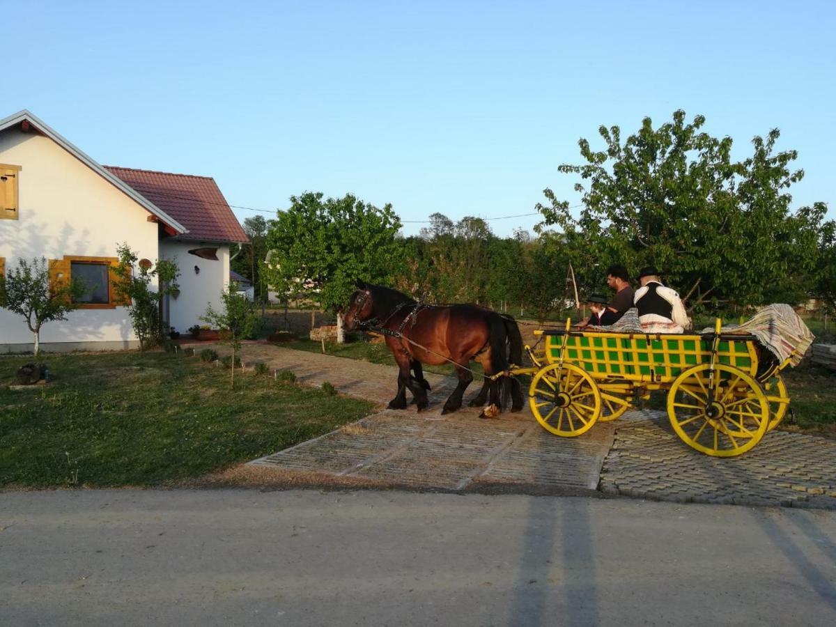 Kuca Za Odmor "Dva Srca" Ξενοδοχείο Ceminac Εξωτερικό φωτογραφία